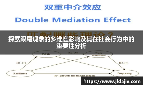 SG胜游APP